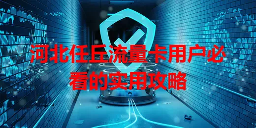河北任丘流量卡用户必看的实用攻略