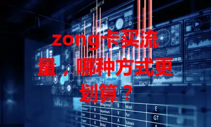 zong卡买流量，哪种方式更划算？