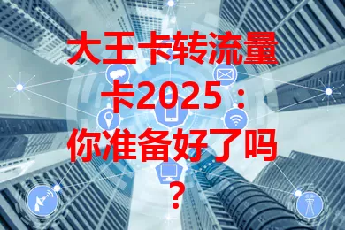 大王卡转流量卡2025：你准备好了吗？
