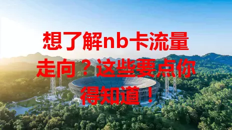 想了解nb卡流量走向？这些要点你得知道！