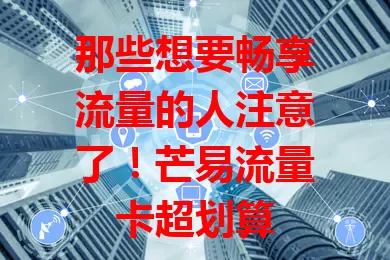 那些想要畅享流量的人注意了！芒易流量卡超划算