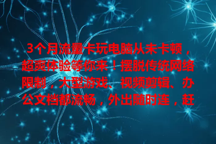 3个月流量卡玩电脑从未卡顿，超爽体验等你来！摆脱传统网络限制，大型游戏、视频剪辑、办公文档都流畅，外出随时连，赶紧试试！