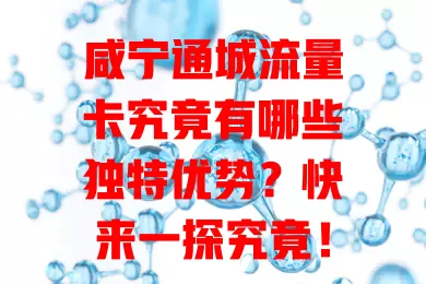 咸宁通城流量卡究竟有哪些独特优势？快来一探究竟！