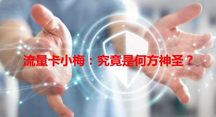 流量卡小梅：究竟是何方神圣？