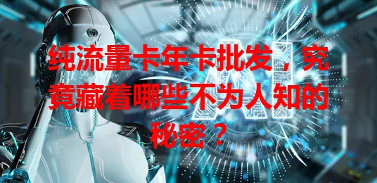 纯流量卡年卡批发，究竟藏着哪些不为人知的秘密？