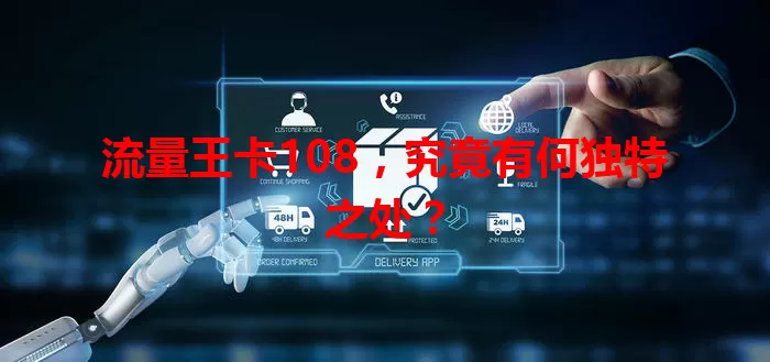 流量王卡108，究竟有何独特之处？