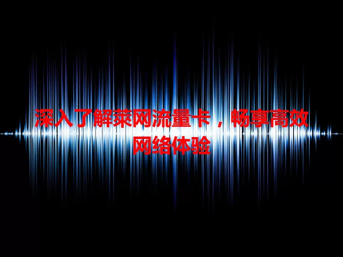 深入了解萊网流量卡，畅享高效网络体验