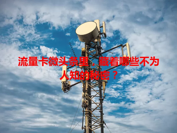 流量卡微头条里，藏着哪些不为人知的秘密？