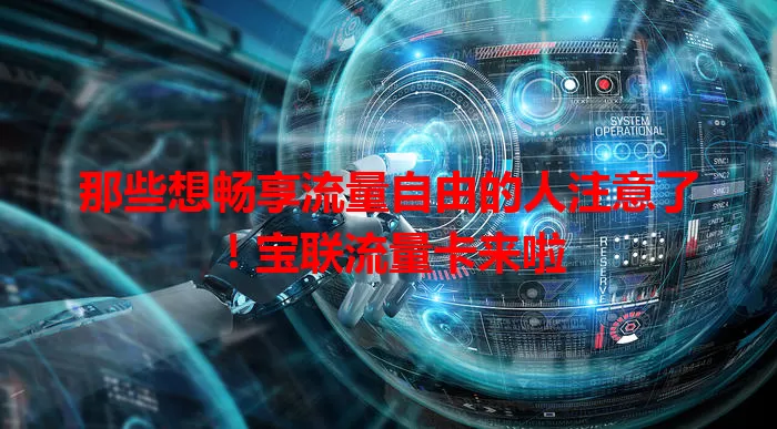 那些想畅享流量自由的人注意了！宝联流量卡来啦