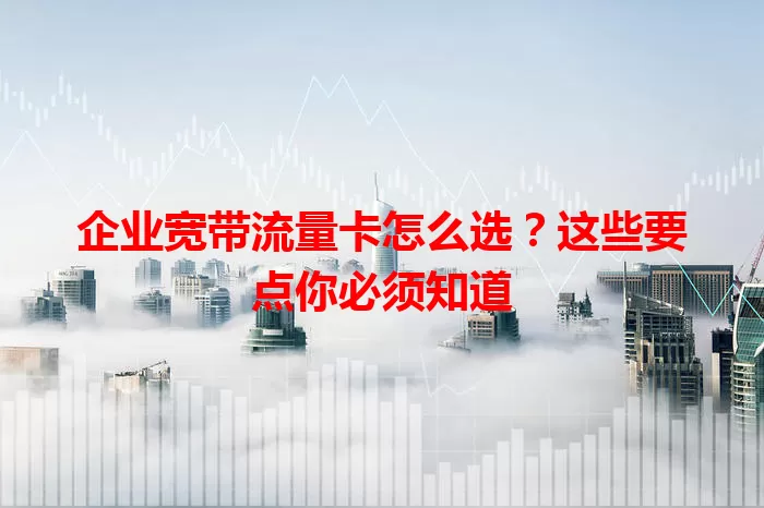 企业宽带流量卡怎么选？这些要点你必须知道