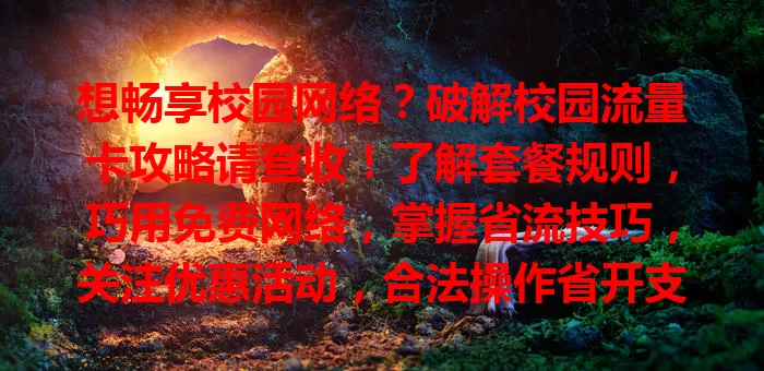 想畅享校园网络？破解校园流量卡攻略请查收！了解套餐规则，巧用免费网络，掌握省流技巧，关注优惠活动，合法操作省开支，实惠畅游网络世界