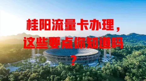 桂阳流量卡办理，这些要点你知道吗？
