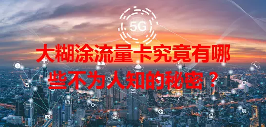 大糊涂流量卡究竟有哪些不为人知的秘密？