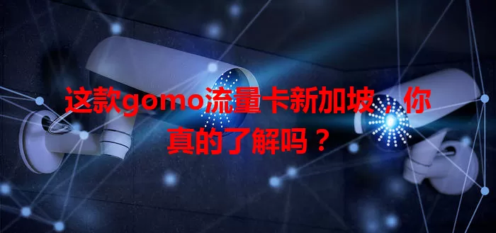 这款gomo流量卡新加坡，你真的了解吗？