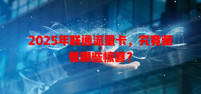 2025年联通流量卡，究竟藏着哪些惊喜？