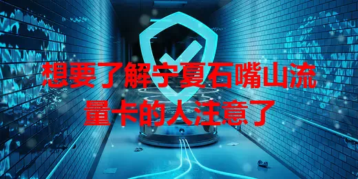 想要了解宁夏石嘴山流量卡的人注意了