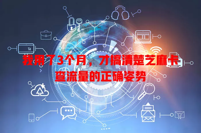 我用了3个月，才搞清楚芝麻卡查流量的正确姿势