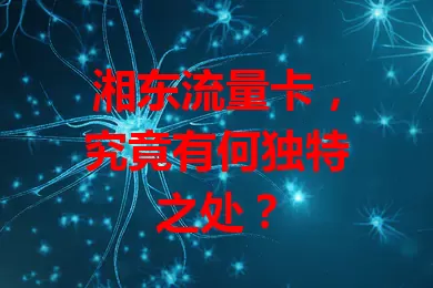 湘东流量卡，究竟有何独特之处？