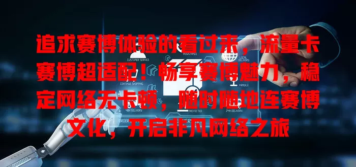 追求赛博体验的看过来，流量卡赛博超适配！畅享赛博魅力，稳定网络无卡顿，随时随地连赛博文化，开启非凡网络之旅