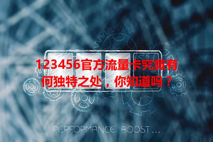 123456官方流量卡究竟有何独特之处，你知道吗？
