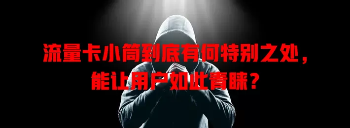 流量卡小筒到底有何特别之处，能让用户如此青睐？