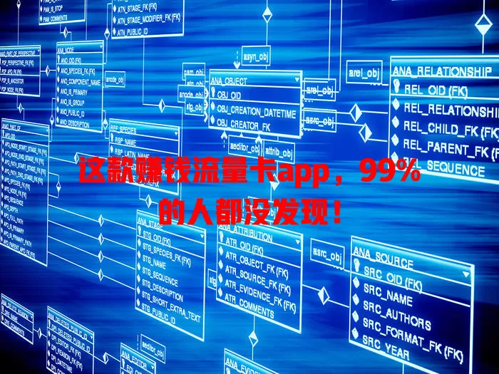 这款赚钱流量卡app，99%的人都没发现！