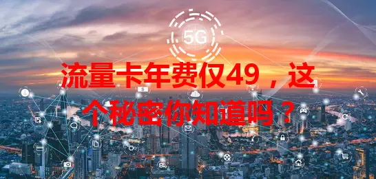 流量卡年费仅49，这个秘密你知道吗？