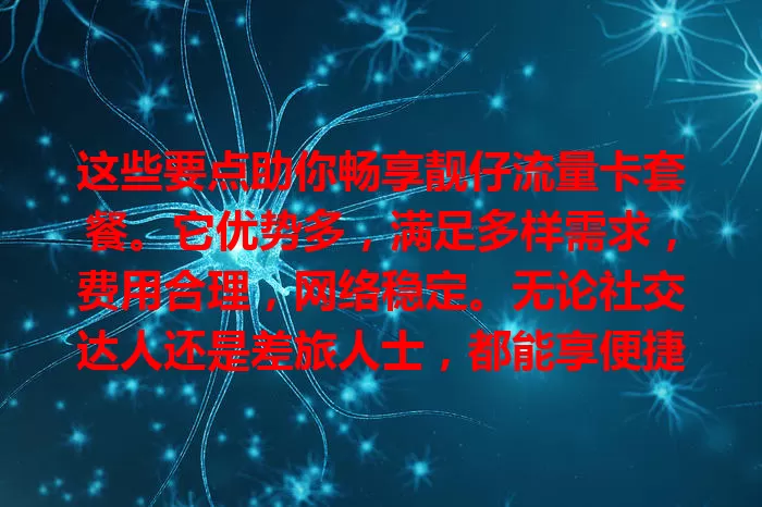 这些要点助你畅享靓仔流量卡套餐。它优势多，满足多样需求，费用合理，网络稳定。无论社交达人还是差旅人士，都能享便捷实惠网络体验，别因流量烦，快来了解！