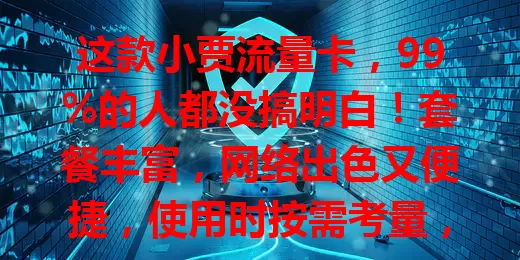 这款小贾流量卡，99%的人都没搞明白！套餐丰富，网络出色又便捷，使用时按需考量，明确流量用量、关注覆盖范围，才能发挥优势带来优质体验
