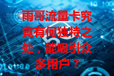 雨哥流量卡究竟有何独特之处，能吸引众多用户？