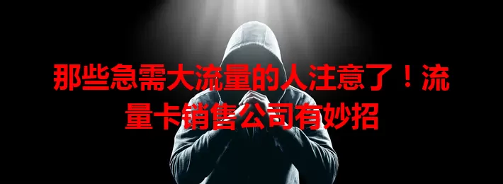 那些急需大流量的人注意了！流量卡销售公司有妙招