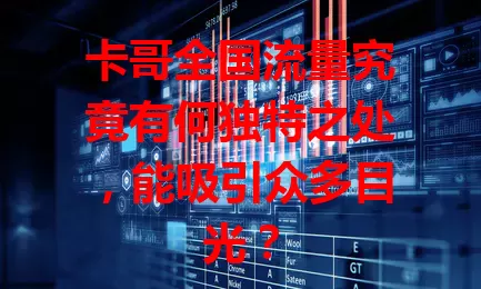 卡哥全国流量究竟有何独特之处，能吸引众多目光？