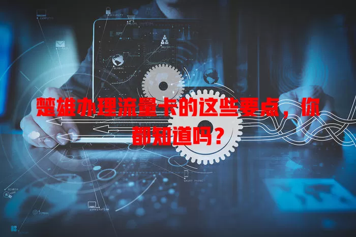 楚雄办理流量卡的这些要点，你都知道吗？