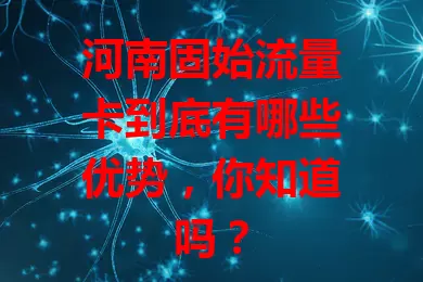 河南固始流量卡到底有哪些优势，你知道吗？