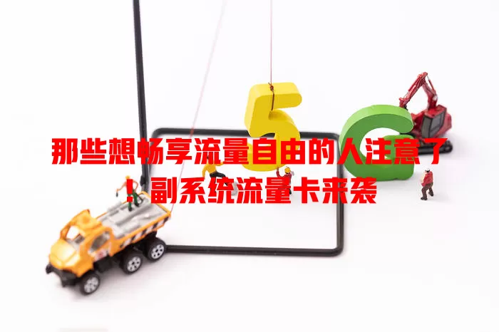 那些想畅享流量自由的人注意了！副系统流量卡来袭