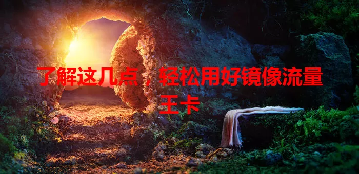 了解这几点，轻松用好镜像流量王卡