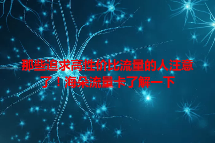 那些追求高性价比流量的人注意了！海朵流量卡了解一下