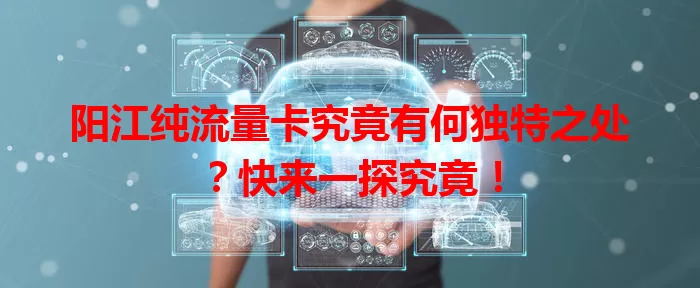 阳江纯流量卡究竟有何独特之处？快来一探究竟！