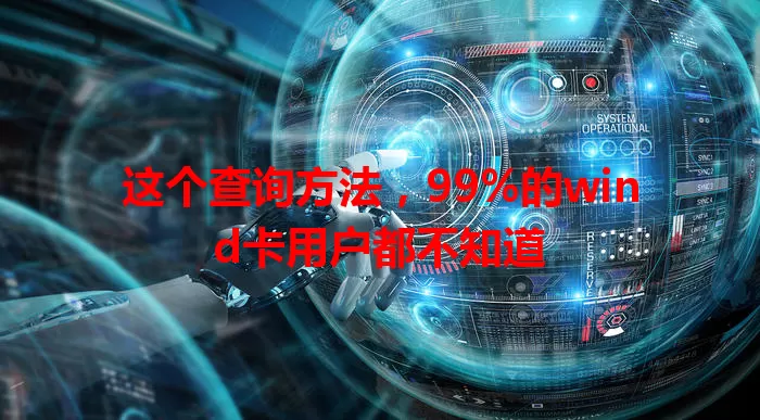 这个查询方法，99%的wind卡用户都不知道