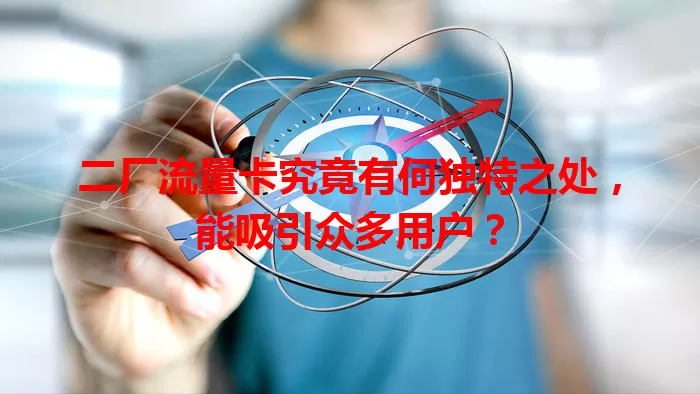 二厂流量卡究竟有何独特之处，能吸引众多用户？