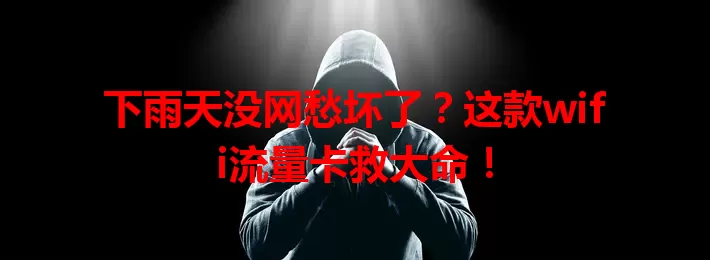 下雨天没网愁坏了？这款wifi流量卡救大命！