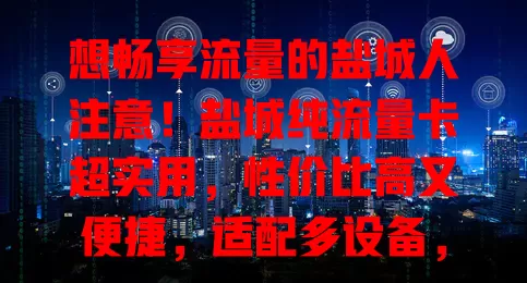 想畅享流量的盐城人注意！盐城纯流量卡超实用，性价比高又便捷，适配多设备，满足多样需求，别犹豫，赶紧选它开启精彩网络生活！