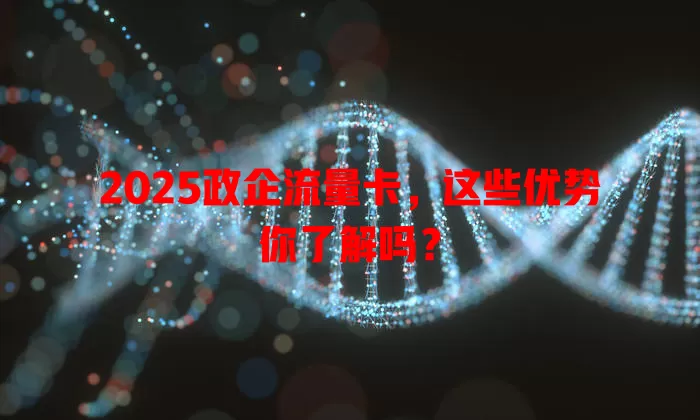 2025政企流量卡，这些优势你了解吗？