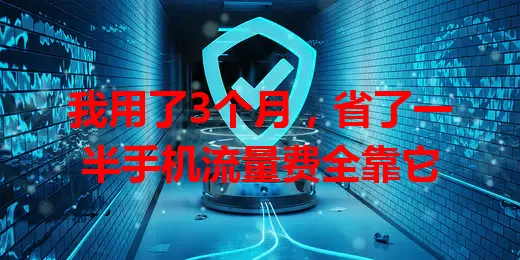 我用了3个月，省了一半手机流量费全靠它