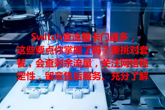 Switch查流量卡门道多，这些要点你掌握了吗？要挑对套餐，会查剩余流量，关注网络稳定性，留意售后服务。充分了解，合理使用，让Switch游戏之旅更顺畅！