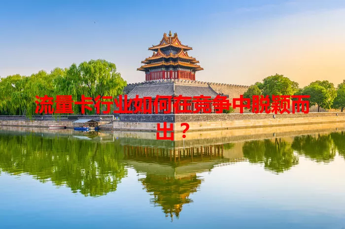 流量卡行业如何在竞争中脱颖而出？