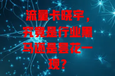 流量卡晓宇，究竟是行业黑马还是昙花一现？