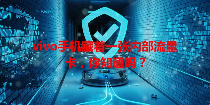 vivo手机藏着一张内部流量卡，你知道吗？