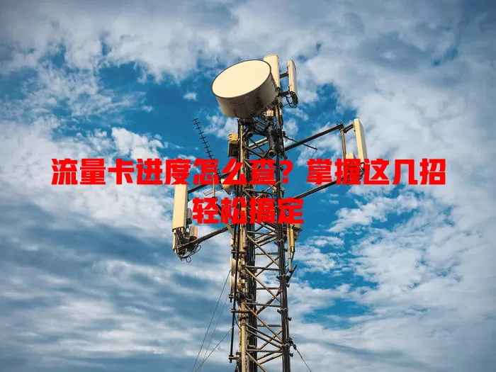 流量卡进度怎么查？掌握这几招轻松搞定