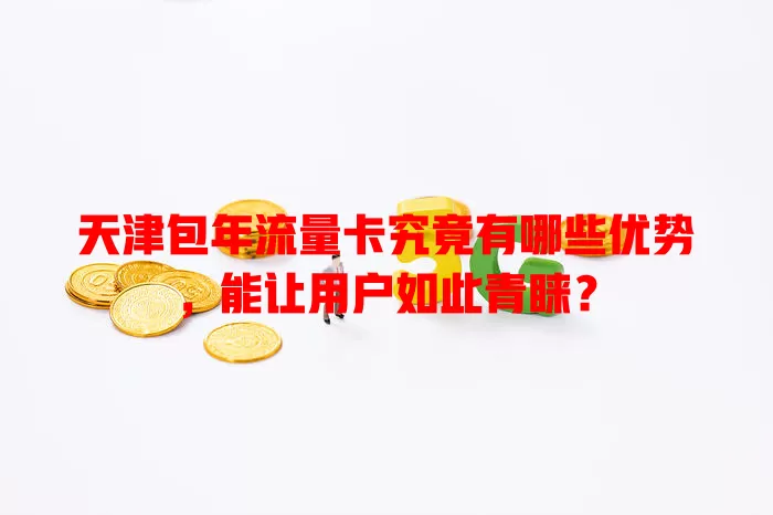 天津包年流量卡究竟有哪些优势，能让用户如此青睐？